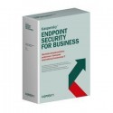 pierwszy zakup Kaspersky Endpoint Security for Business Select na 100 komputerów + na serwery dla Szkół PL